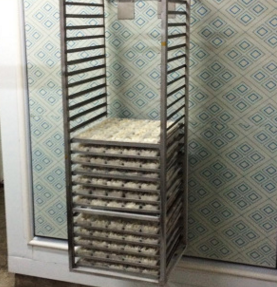 速凍冷柜50kg酒店餐廳商用冰棒雪糕保鮮冷凍轉(zhuǎn)門(mén)速凍機(jī)速凍柜