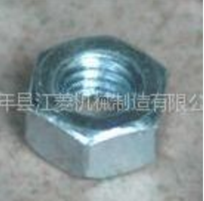 江菱廠家供應(yīng)永年德標螺母