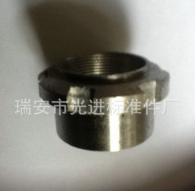 廠家出售非標(biāo)螺母25*1 非標(biāo)螺絲螺母多種規(guī)格