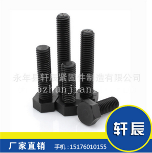 供應(yīng)高強(qiáng)度全扣螺栓 GB5783 高強(qiáng)度8.8級(jí)外六角 加長(zhǎng)螺絲