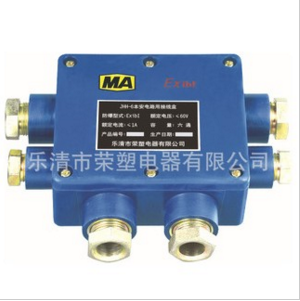 供應(yīng)礦用本安接線盒分線盒JHH-6電纜接線盒線六通20對