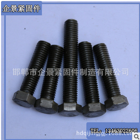 我廠專業(yè)生產(chǎn)六角螺栓 8.8級(jí) 高強(qiáng)度螺栓 外六角螺絲