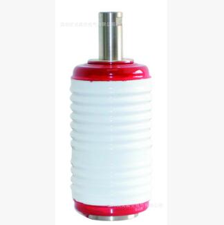 TD-12/630-12.5真空滅弧室/真空開關(guān)管（出口型）