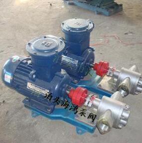 供應(yīng)海鴻牌整體304材質(zhì)耐腐蝕KCB不銹鋼齒輪油泵