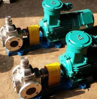 不銹鋼圓弧齒輪泵生產(chǎn)廠