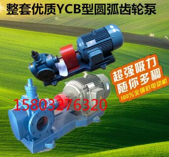 YCB50/0.6圓弧齒輪泵 不銹鋼齒輪泵 車載圓弧泵 YHCB150電機(jī)傳動(dòng)齒輪泵