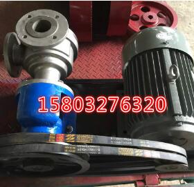 NYP111大流量高粘度齒輪泵 耐腐蝕轉(zhuǎn)子泵 廠直銷 品質(zhì)優(yōu)良