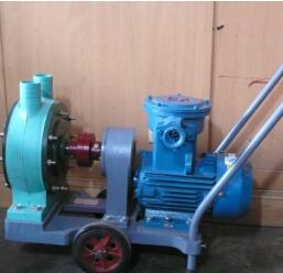 供應(yīng)優(yōu)質(zhì)熒光粉專用泵化工泵耐腐蝕雙隔膜泵隔膜泵雜質(zhì)泵0