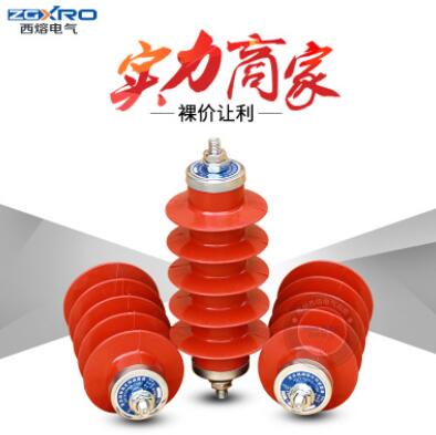 廠家直銷 10KV避雷器HY5WS-17/50高壓避雷器10KV氧化鋅避雷器