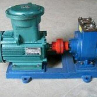 泰盛不銹鋼轉(zhuǎn)子泵價(jià)位低品質(zhì)好