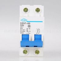 批發(fā)上海人民 DZ47-63 2P空開 微型 斷路器空氣開關(guān) 漏電保護器