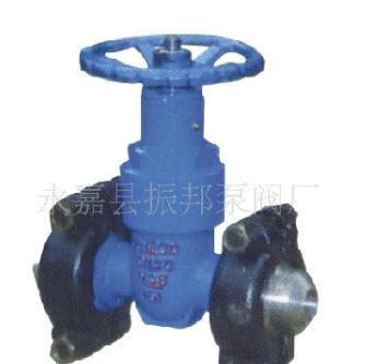 Z81H-200 油田專用卡箍閘