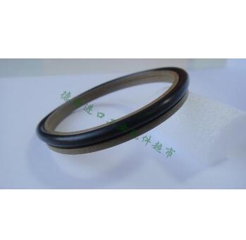 防塵圈赫萊特密封件H335 H839 H520英國(guó)進(jìn)口