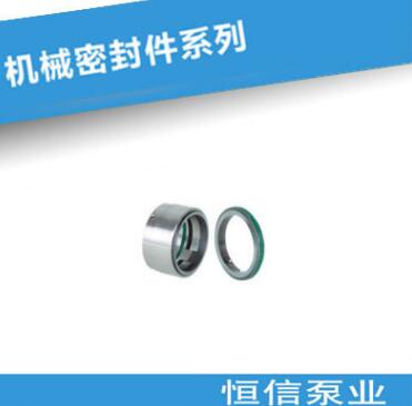恒信泵業(yè)廠家直銷BDM1系列泵用機(jī)封 機(jī)械密封件