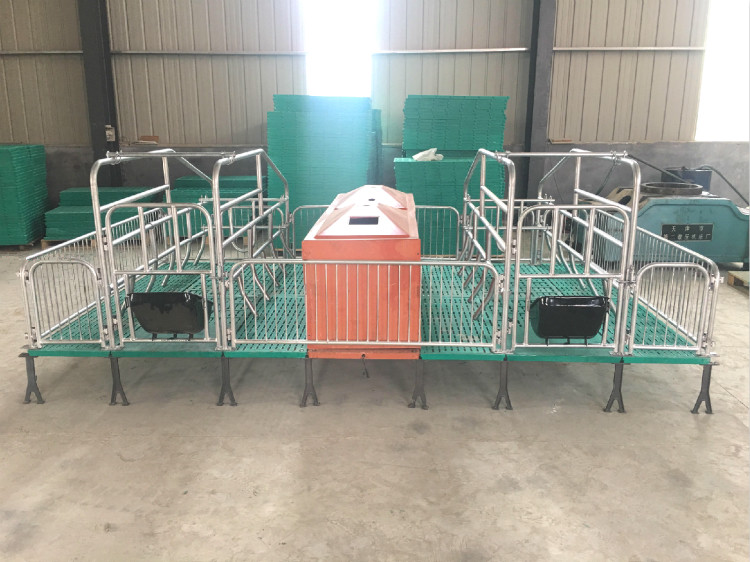 全復(fù)合產(chǎn)床/旭樂畜牧設(shè)備/母豬產(chǎn)床廠家/豬產(chǎn)床