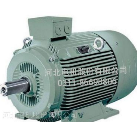河北電機(jī)冠生牌IE2系列高效三相異步電動機(jī)
