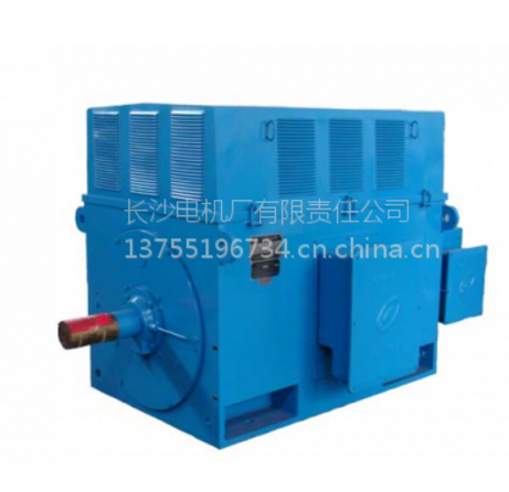 長沙電機(jī)廠有限責(zé)任公司電機(jī)