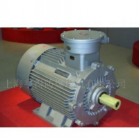 供應(yīng)YB2系列隔爆型三相異步電動機(jī)