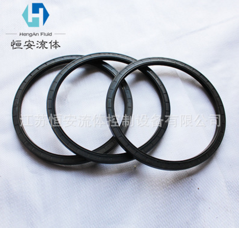 骨架油封 廠家專業(yè)生產(chǎn) 高品質(zhì) 防腐蝕耐高溫 經(jīng)久耐用 量大從優(yōu)
