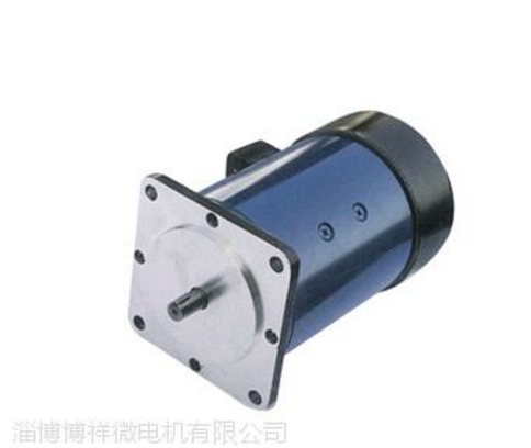 供應(yīng)博祥微電機(jī)130SZ03直流電機(jī)價(jià)格廠家直銷