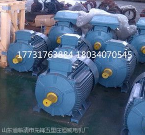 三相電機 高效節(jié)能電機 YE2高效節(jié)能電機廠家直銷