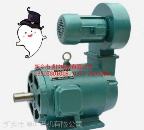 河南起重機(jī)防搖擺電機(jī)產(chǎn)品性能介紹