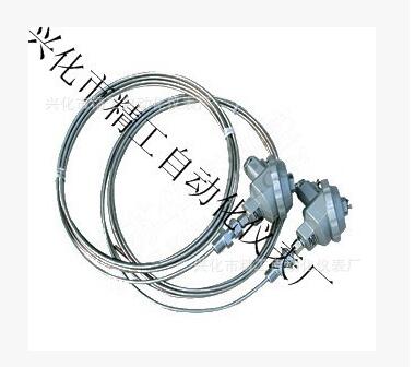 廠家供應(yīng)凱裝熱電偶/熱電阻/WRNK-131-WZPK-131 PT100傳感器