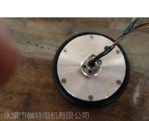 無刷直流妞妞平衡車專用電機