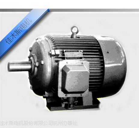 HY系列核電用三相異步電動(dòng)機(jī)