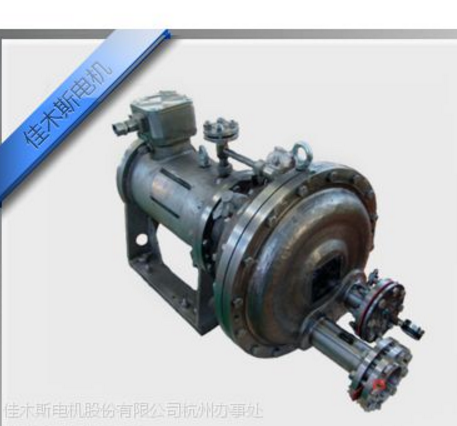 佳木斯屏蔽電動(dòng)機(jī)、電泵系列