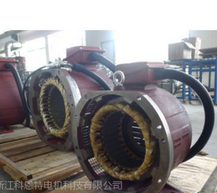 供應(yīng)浙江科恩特電機 永磁無刷馬達