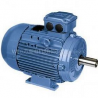 供應(yīng)定制WEG鋁殼電機(jī)2.2KW-2級(jí)-立式