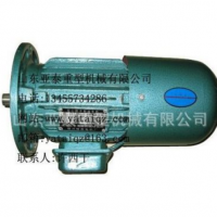 供應(yīng)YSE80-4-0.8KW實(shí)心轉(zhuǎn)子三相異步制動電動機(jī),YSE80-4-0.8KW軟啟動電機(jī)