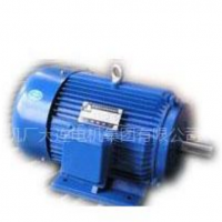 供應(yīng)大連電機(jī)廠YEJ/YEL電磁制動(dòng)三相異步電動(dòng)機(jī)