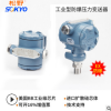 PG測天燃?xì)庖兹家妆瑲怏w液體防雷防爆壓力變送器防爆壓力傳感器