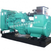 供應(yīng)南山發(fā)電機(jī)出租 蛇口發(fā)電機(jī)出租 福田發(fā)電機(jī)出租 龍崗發(fā)電機(jī)出租 寶安發(fā)電機(jī)出租