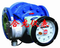 廠家供應腰輪流量 齒輪流量計 汽油柴油表