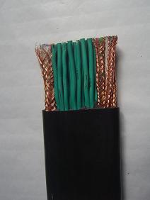 安徽藍(lán)普特種電纜供應(yīng)特種電纜