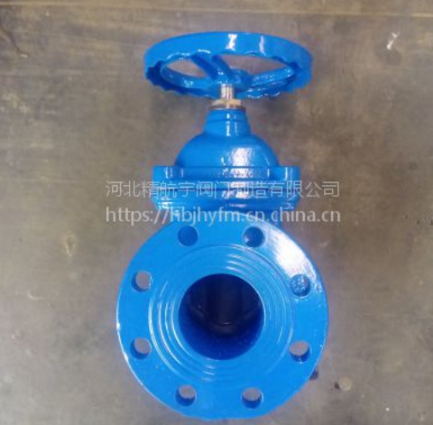 德標(biāo)F4銅壓母彈性在座封閘閥 DN150 精航宇閥門 球墨鑄鐵