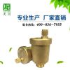 原裝進(jìn)口霍尼韋爾e121黃銅排氣閥