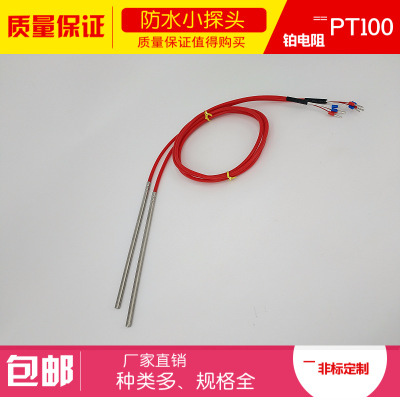 WZPT系列非標(biāo)列耐酸堿鉑熱電阻 Pt100 WZPT-100 防腐蝕熱電阻