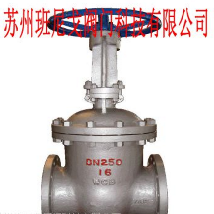 鑄鋼閥門BRGG型號班尼戈廠家直銷