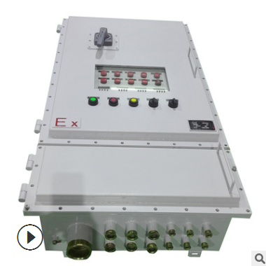東莞廠家直銷12回路防爆顯示屏配電箱 空開斷路器不銹鋼配電箱