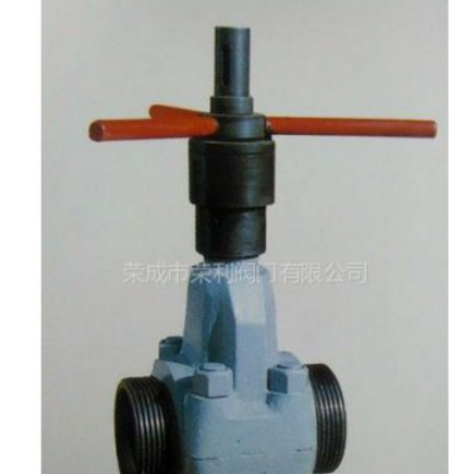 供應榮成市榮利閥門有限公司泥漿閥