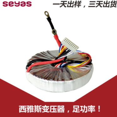 廠家直銷(xiāo) 電源變壓器 1000VA 環(huán)形變壓器 可定制