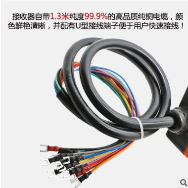 禹鼎工業(yè)遙控器/行車遙控器/起重機(jī)天車遙控器/F21-E1B電纜線