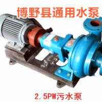 4PW污水泵|30千瓦臥式污水泵