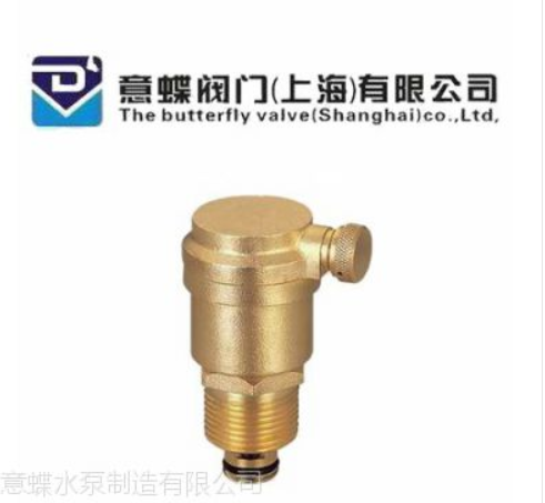自動銅排氣閥-意蝶閥門（上海）有限公司