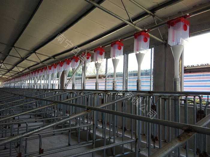 南寧母豬定位欄哪家好/日當(dāng)午農(nóng)業(yè)設(shè)備