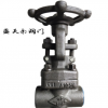 廠家直銷 鍛鋼閥門碳鋼閘閥 Z61H-800LB 小體 承插、螺紋閘閥
